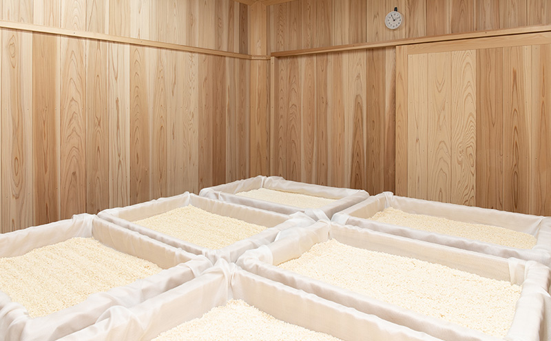 味噌せんべい 計4枚 (各2枚) セット 詰め合わせ 銘醸せんべい 柚子味噌せんべい 煎餅 せんべい 味噌煎餅 甘口煎餅 お菓子 菓子 和菓子 ゆず味噌 柚子味噌 ゆずみそ 長野 長野県 上田市